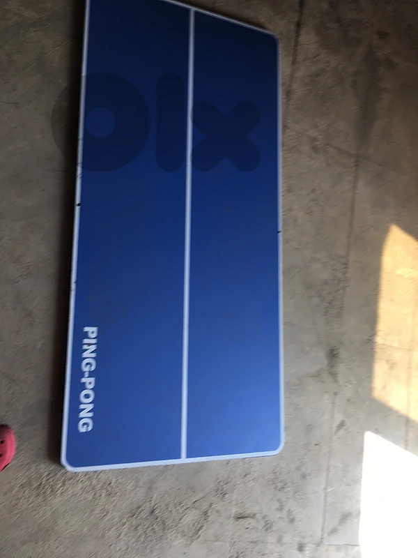 ping pong board