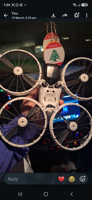 Dji flip