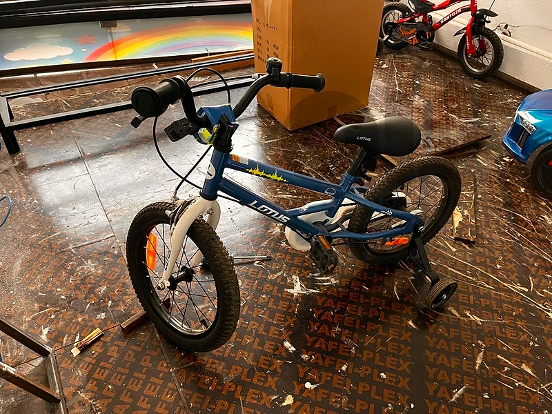 biscicle for kids