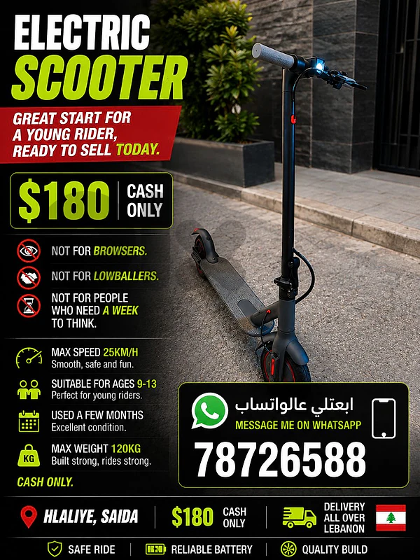 electric scooter
