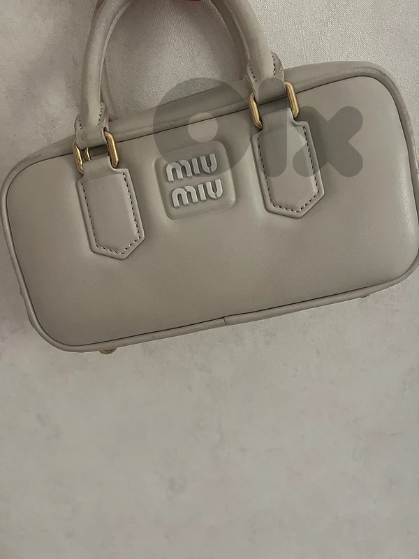 miumiu bag