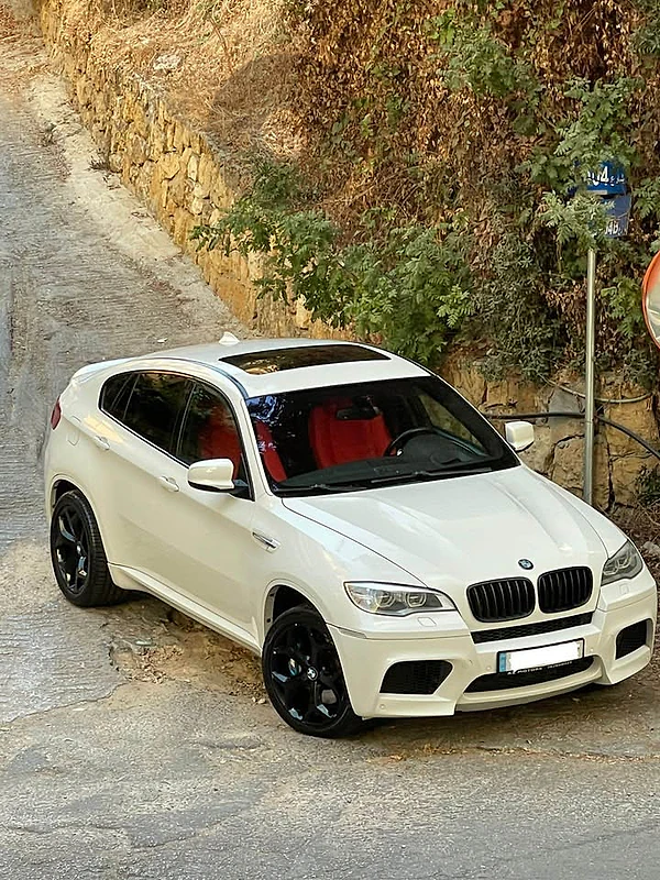 BMW X6 V8 5.0 2009 BMW X6 V8 5.0 2009