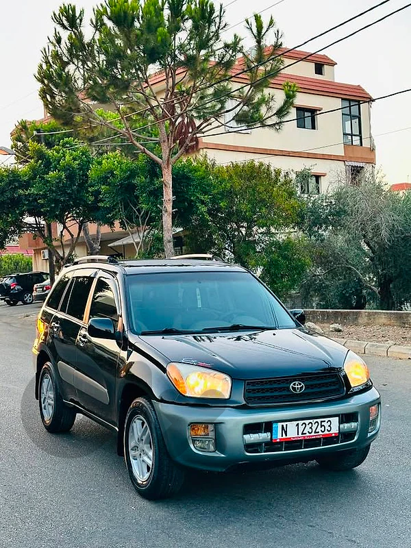 Toyota RAV4 2001