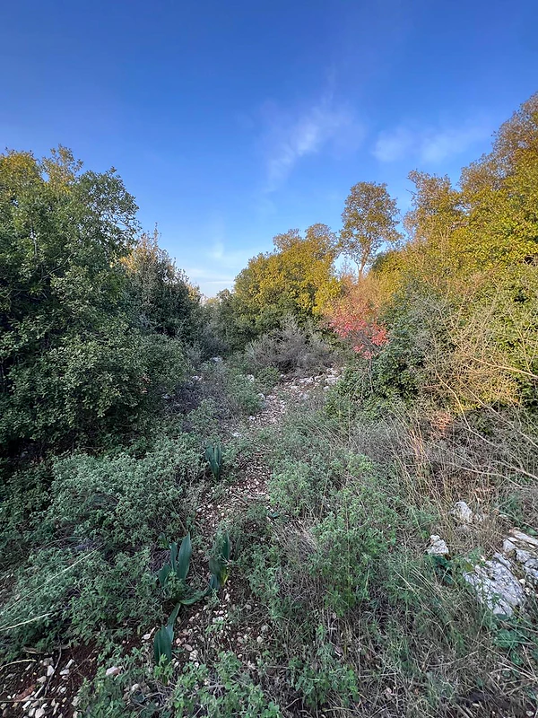 Land for sale in Heltaعقار للبيع في حلتا