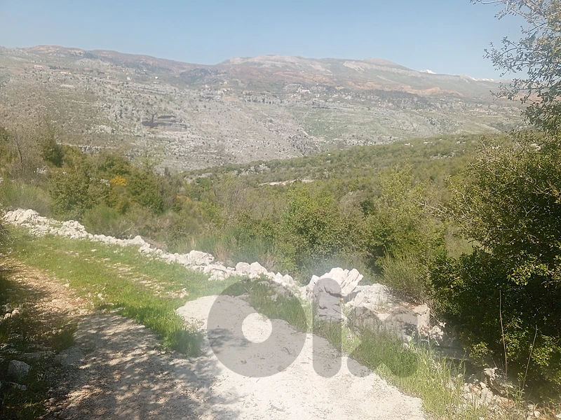 Land for sale in Tarchich أرض للبيع في ترشيش