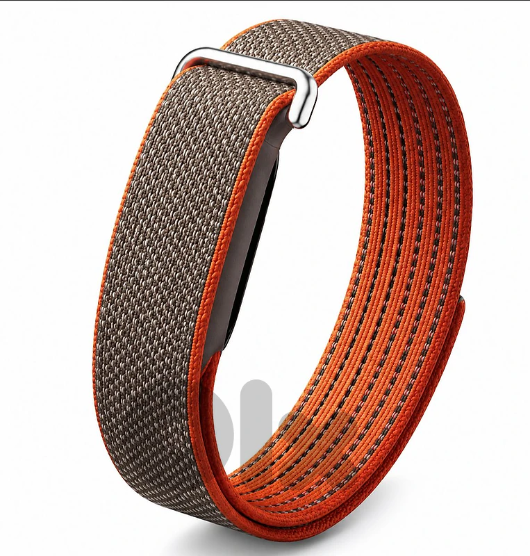 Google Fitbit Air