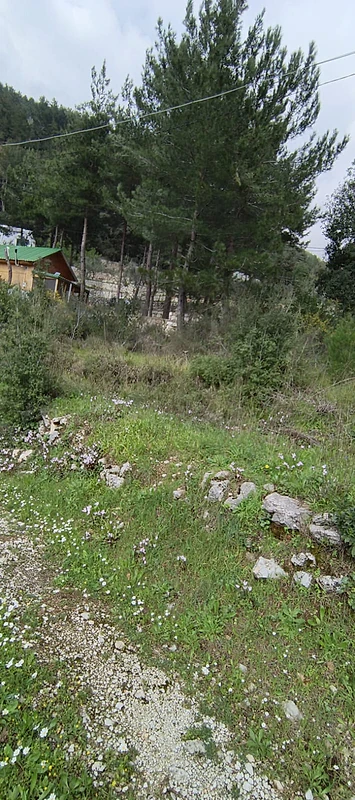 Land for sale in Ghbalehعقار للبيع في غبالي