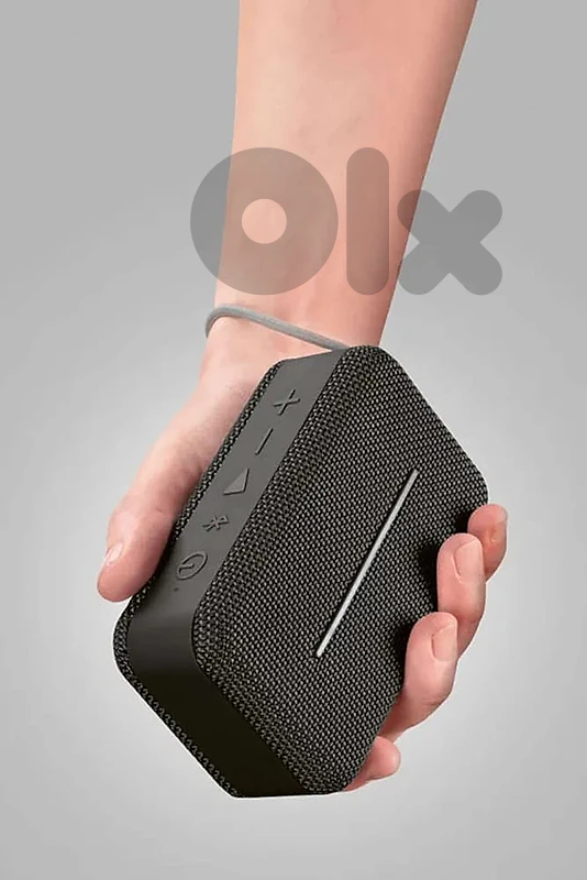 silver crest speaker