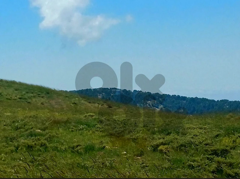 land for sale in tannourine أرض للبيع في أرز تنورين