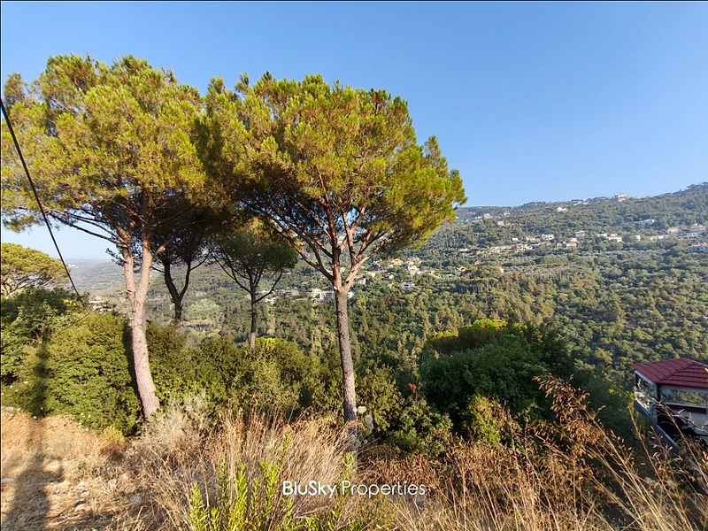 Land For SALE In Baabdat أرض للبيع #SS