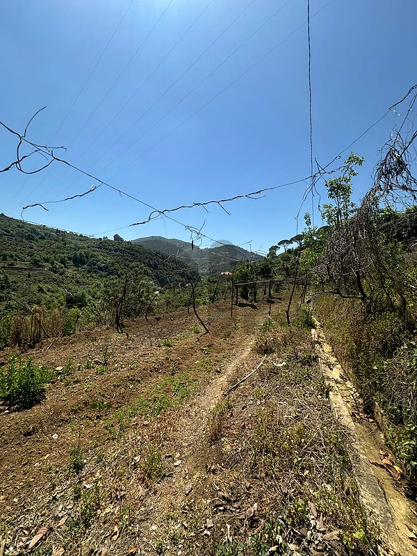 Land for sale in Wadi Deir Chouf عقار للبيع في وادي الدير الشوف