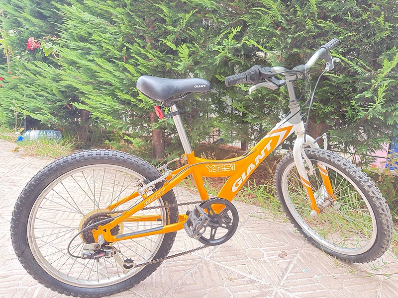 Giant YZ251 Kids’ Mountain Bike – Excellent Condition