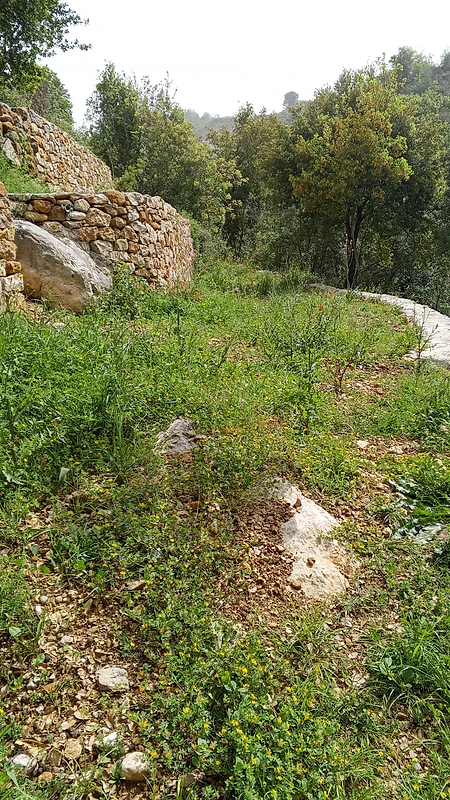 ارض للبيع في الرملية عاليه land for sale in ramlye aley