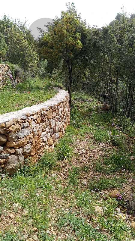 ارض للبيع في الرملية عاليه land for sale in ramlye aley