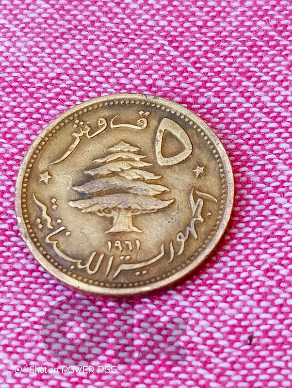 زلقا المتن الشمالي