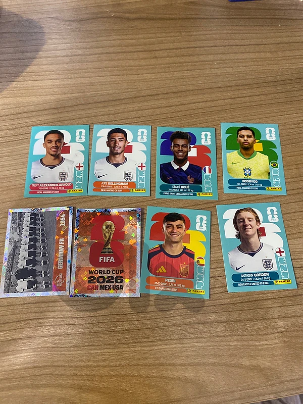 fifa world cup stickers pannini