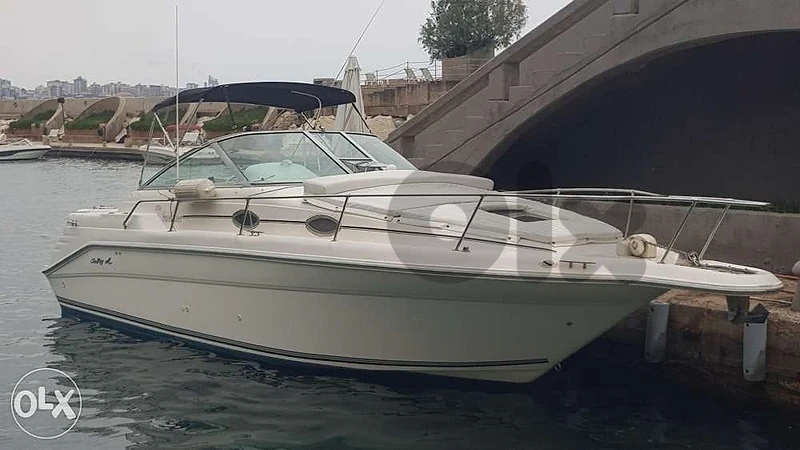 sea ray