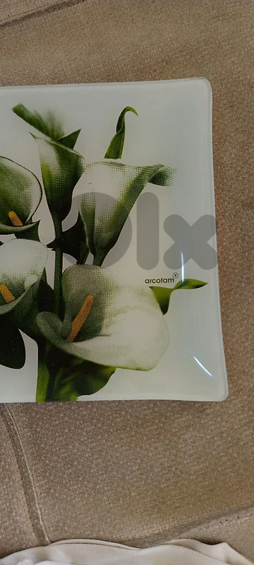 Luminarc Arcotam Calla Lily collection of 6 plates