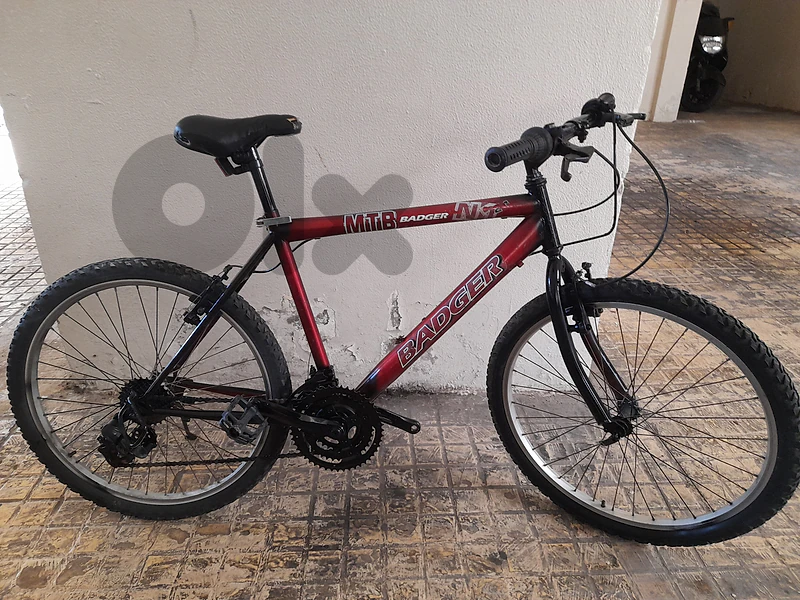 Badger Bike For Sale 24 inch بسكلات