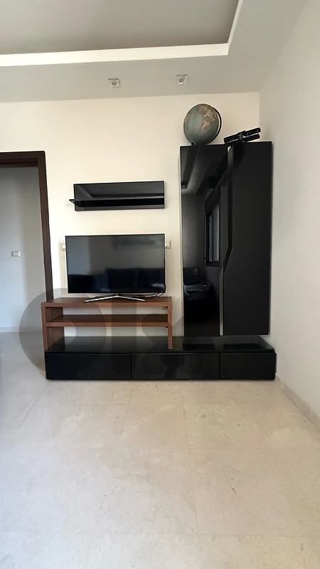 TV unit
