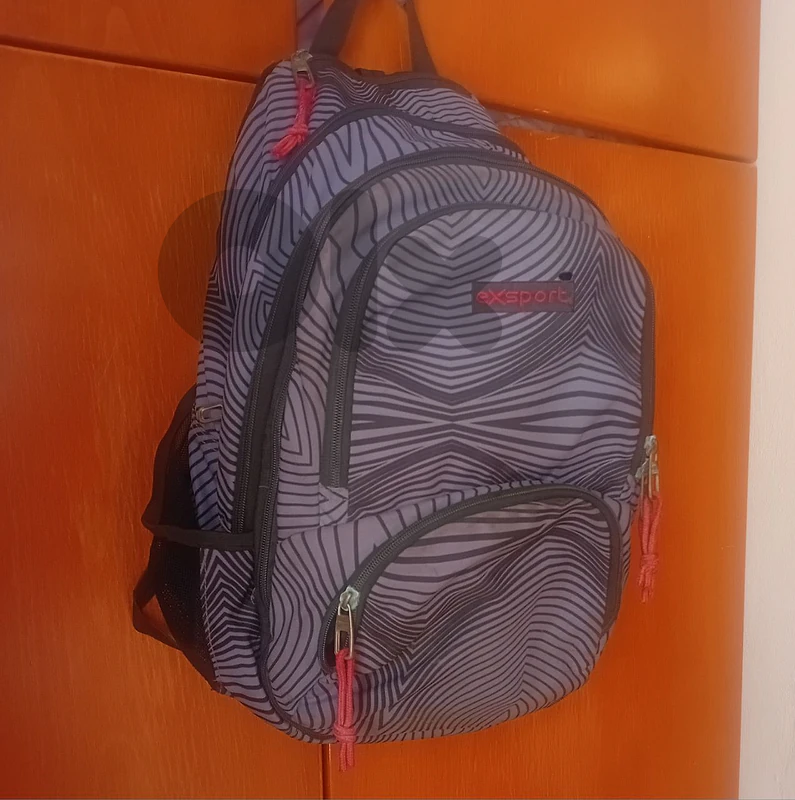 export school bag