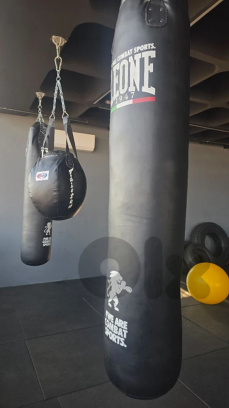Boxing Class, New punching Bags (High Quality)