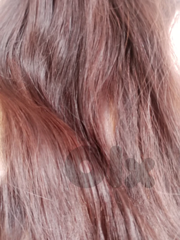 Human Hair Hair Extension