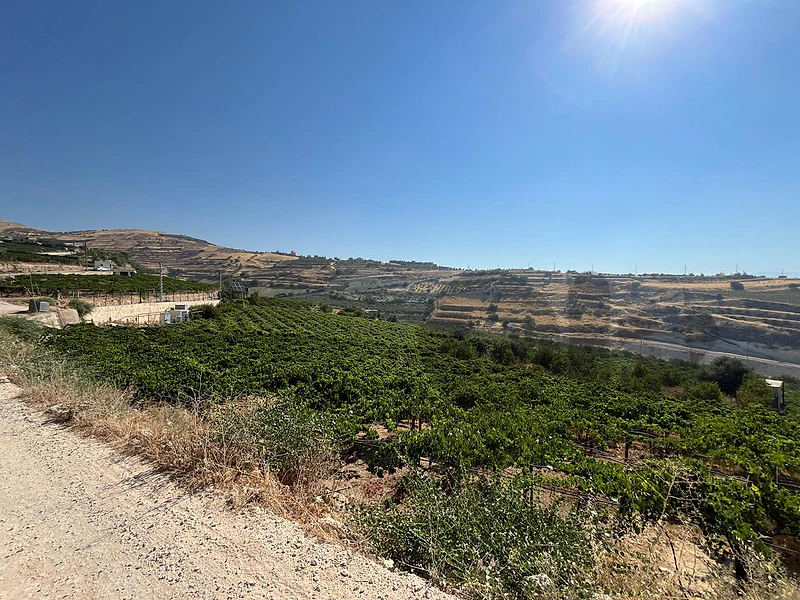 maalaka aradi land 2176 sqm for sale open view #6971
