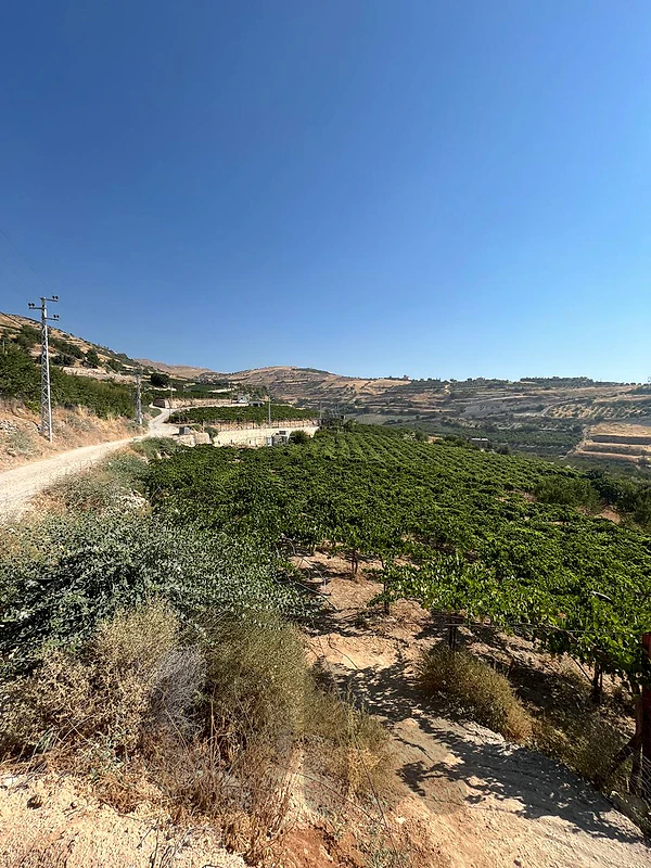 maalaka aradi land 2176 sqm for sale open view #6971