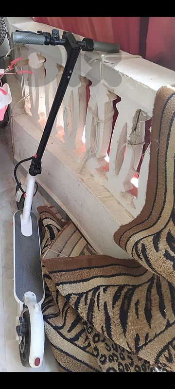 سكوتر كهربائي نوعية مرتبة
