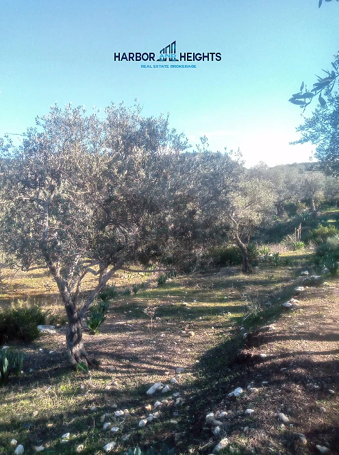Land for Sale in Anfeh - أرض للبيع في أنفة