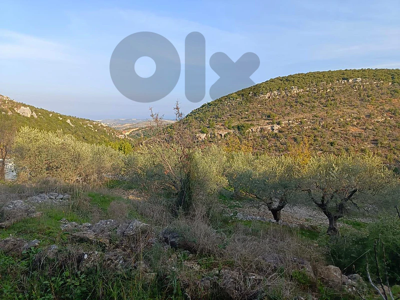 land for sale in Assia أرض للبيع في أسيا