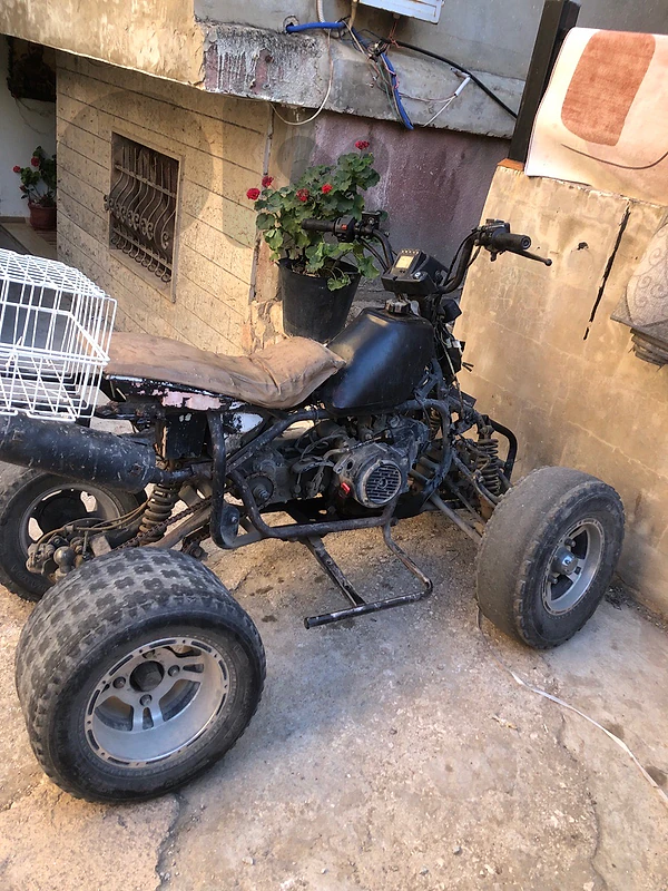 الفرزل