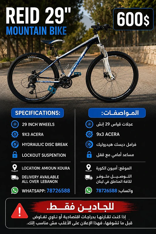 Reid mountain bike