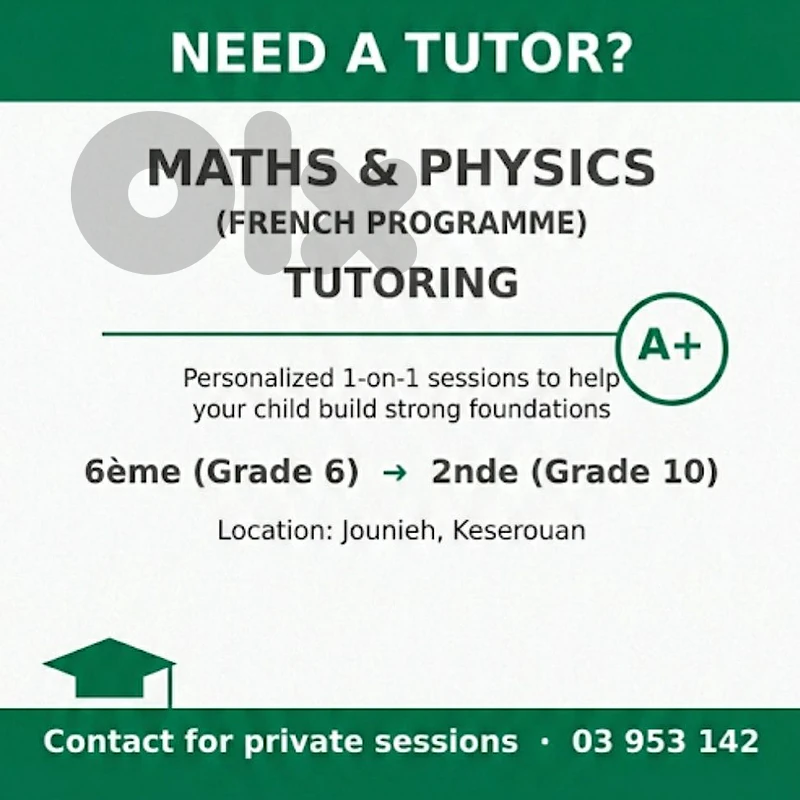Maths + Physics (french) teacher