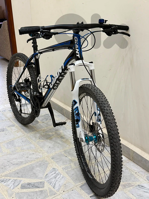 Giant XtC Cross Country Bike