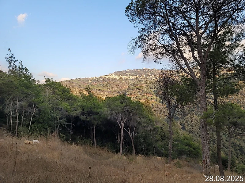 broumana land for sale