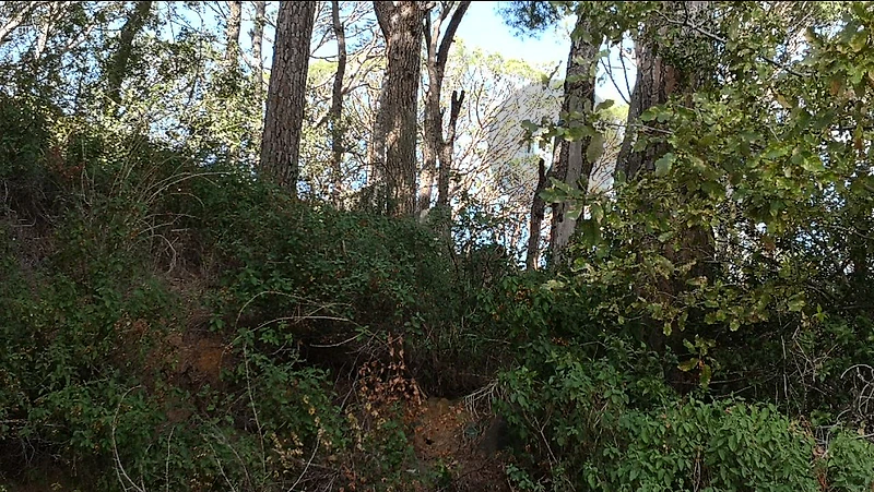 land for sale mar chaya / broumana