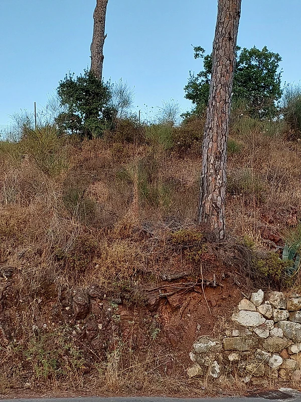 land for sale broumana