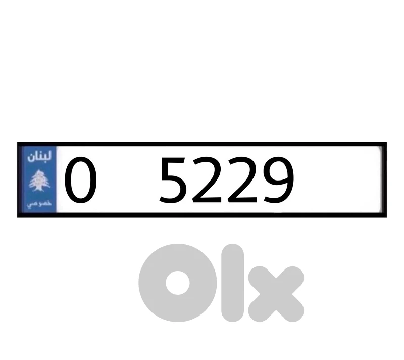 0   5229