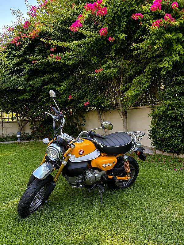 barely used monkey