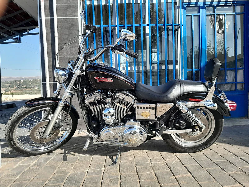 sporster 1200 custom