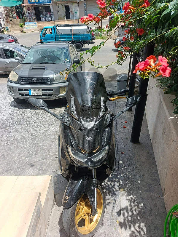 aley area