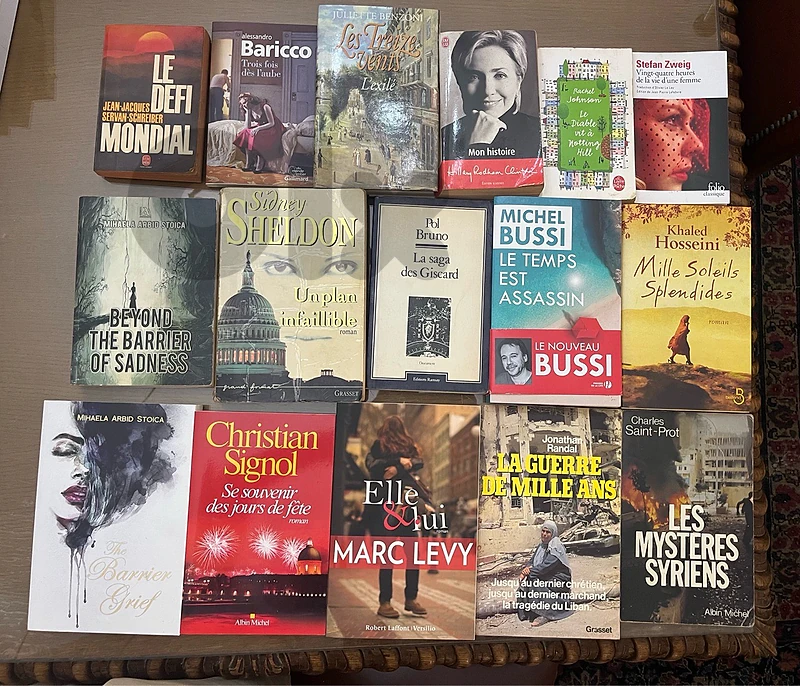 Lot de 16 livres en français / Anglais (Romans, Thrillers & Histoire)