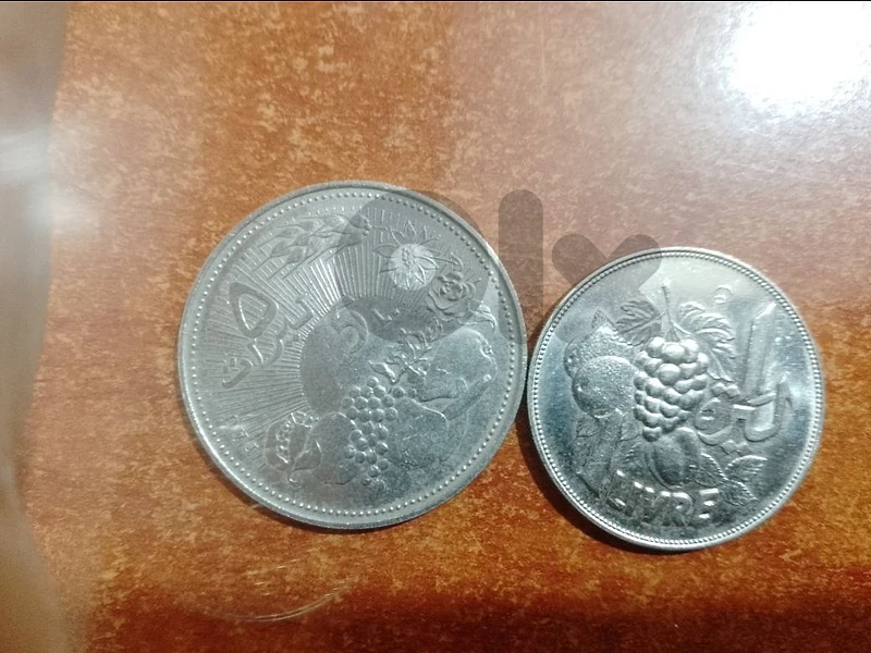 خمس ليرات الفاو وليرة عنقود العنب