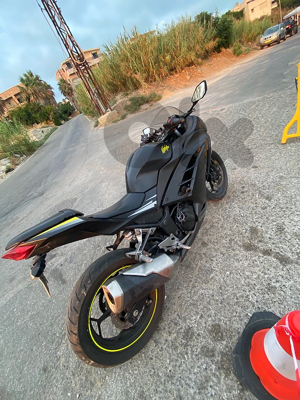 kawasaki ninja 300 2013