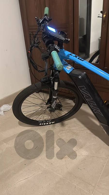 electric bike