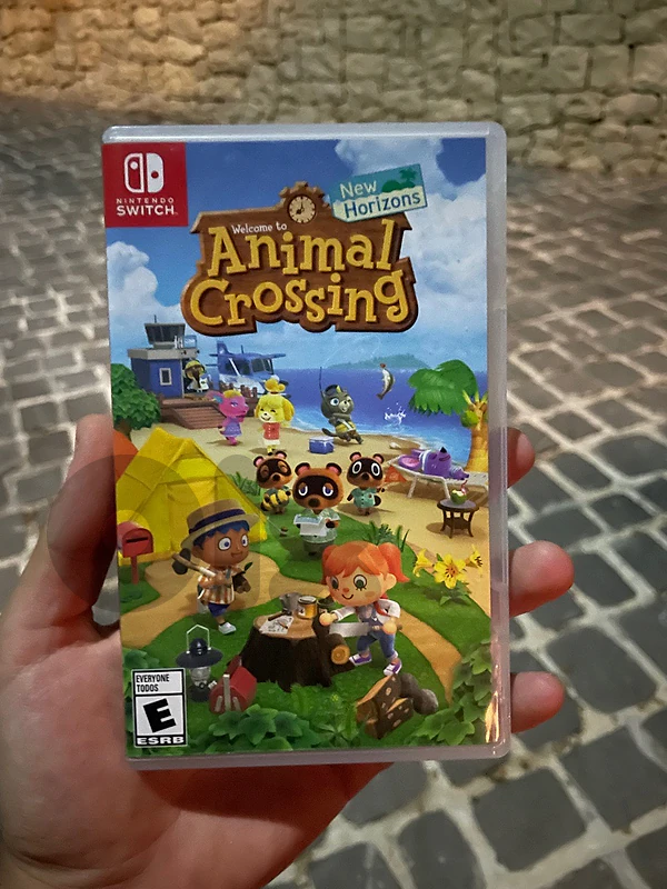 Animal Crossing Game