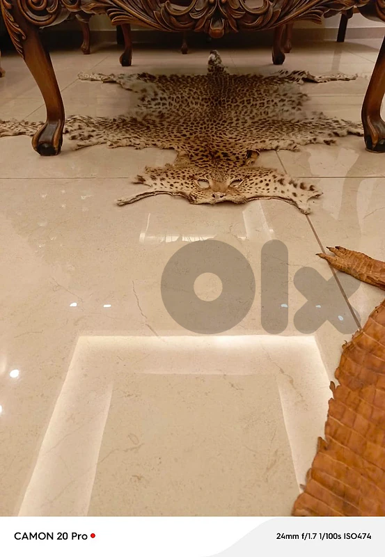 leopard skin carpet