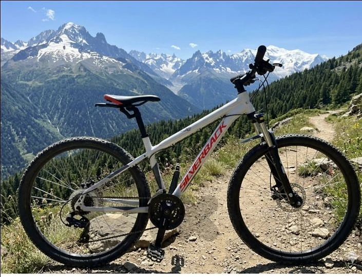 Germany 27.5